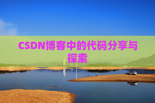 CSDN博客中的代码分享与探索